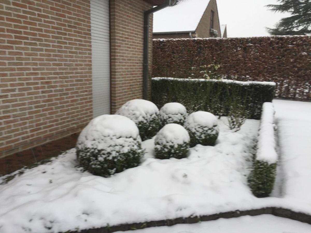 Artemis Villa Ronse Esterno foto